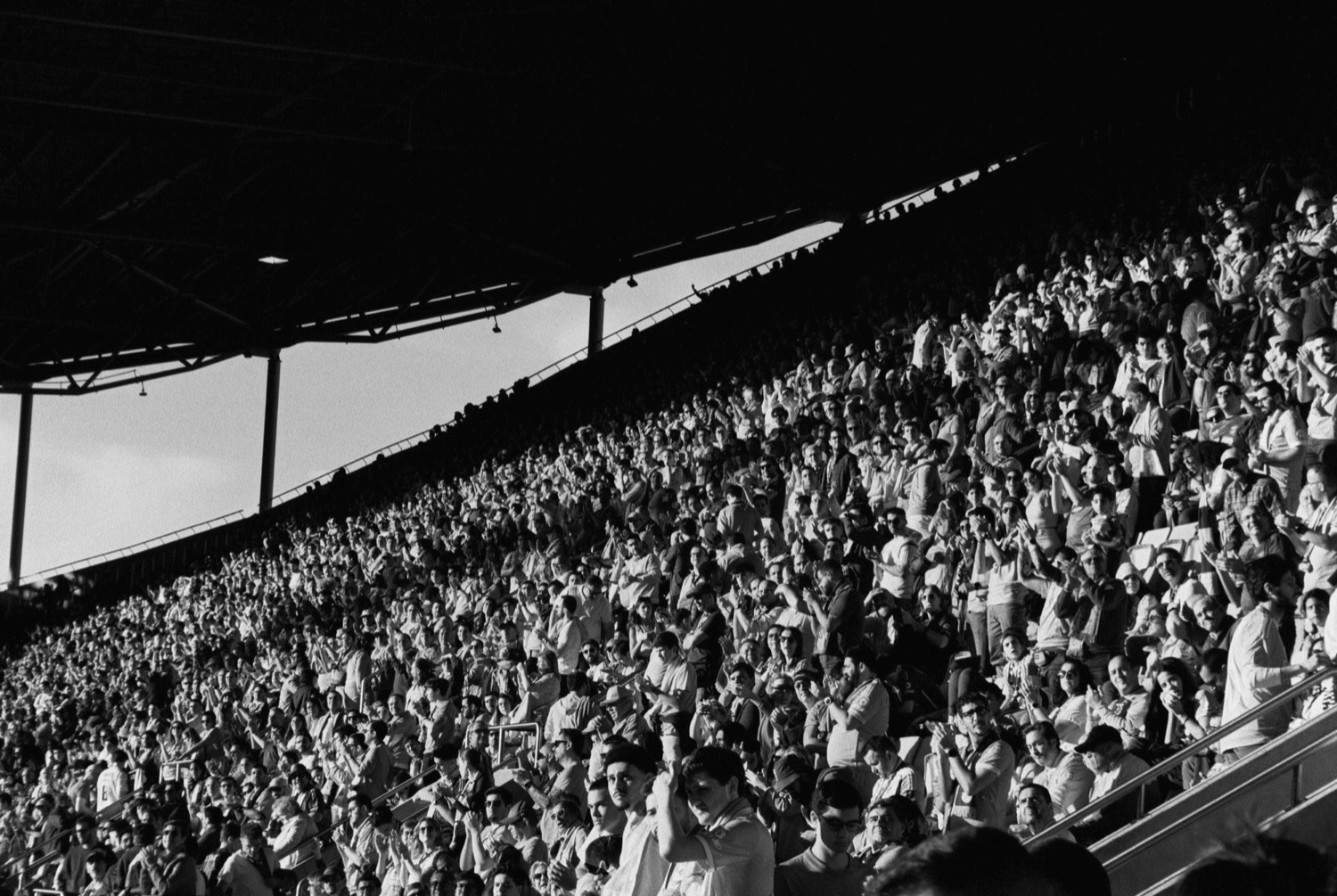 Stadium crowd, black and white